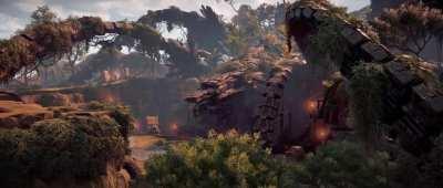 Beauty in every single leaf - the Jewel [CINEMATIC VIDEO]