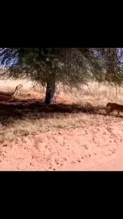 This hunt is top-tier