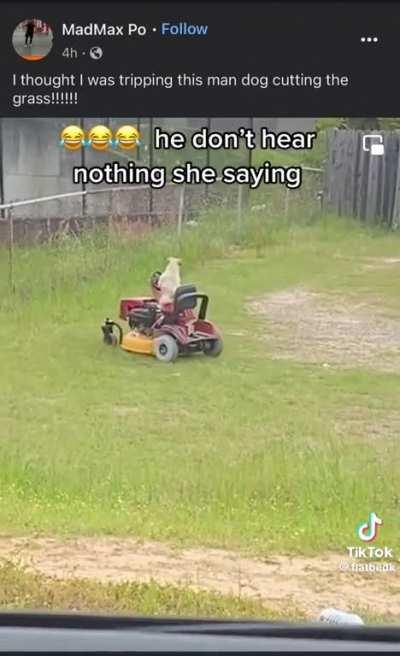 They got the dog working now