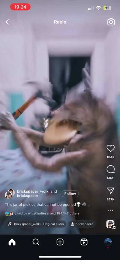 This is my average pickle consumption session