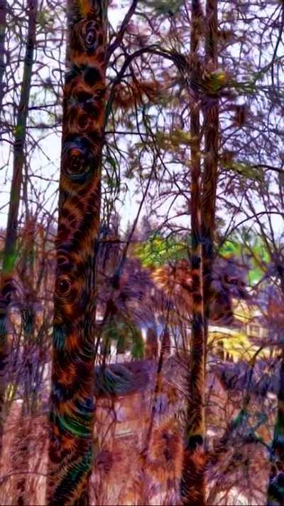 First attempt at Deep Dreaming. The view from my house looks a bit different today.