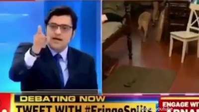 ORGANIC MEME HAA VAIS . . P.S.- MAZAK HAA VAIS ORGANIC NAHI HA