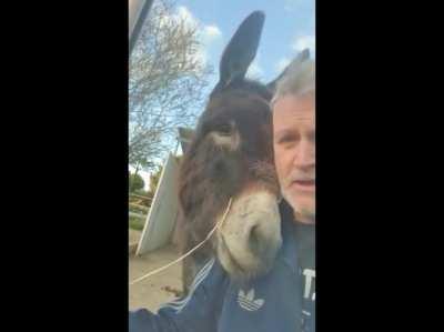 Donkey licks owner’s face when asked about breaking in to the feed shed