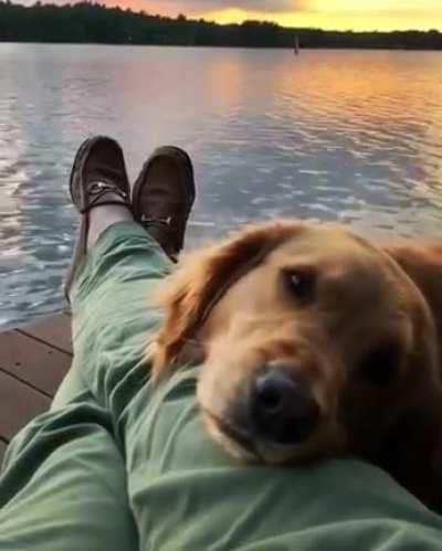 Happy International Dog Day 🐾