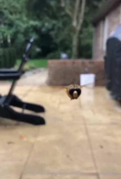 Yeah, that's how I would react too!