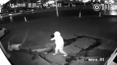 Home Alone: A Found Footage Remake