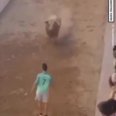 The balls of this guy...