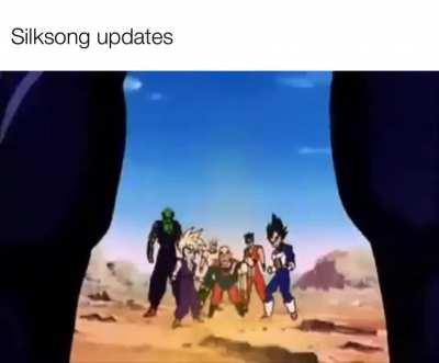 Team Cherry missed a chance to have a knight in HK called Perfect Shell.