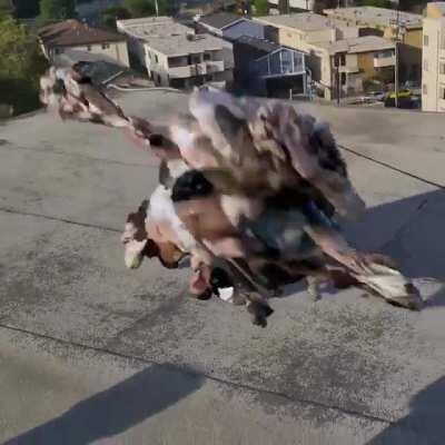 Thanks I hate headsack suit