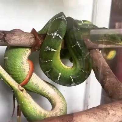 Just leaving this here