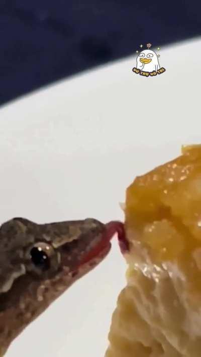 His eyes opened so wide that I understood how delicious it was.🤣