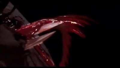 The burning 1981, underrated as fuck