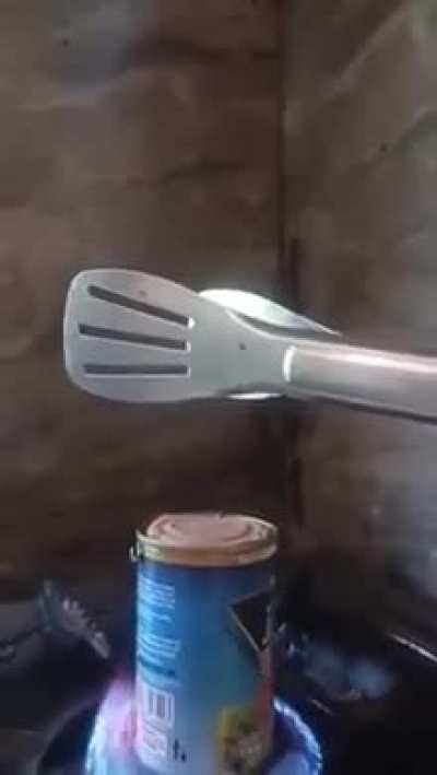 Meat!
