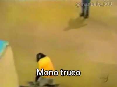 mono truco