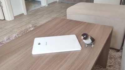 He got some new moves!