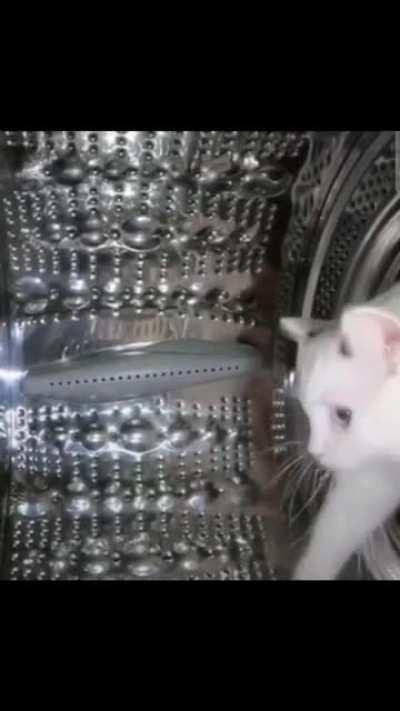 appliance inspector🔧