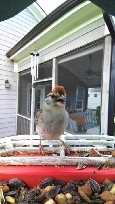 Blessed be the boiling point