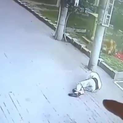 A normal day in Morioh town