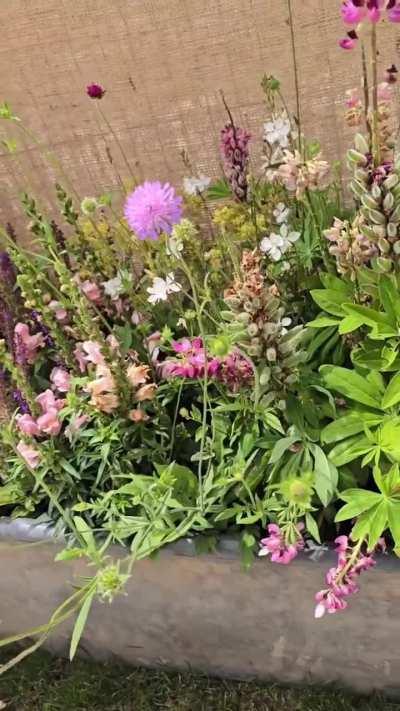 240714 Felix Instagram Update