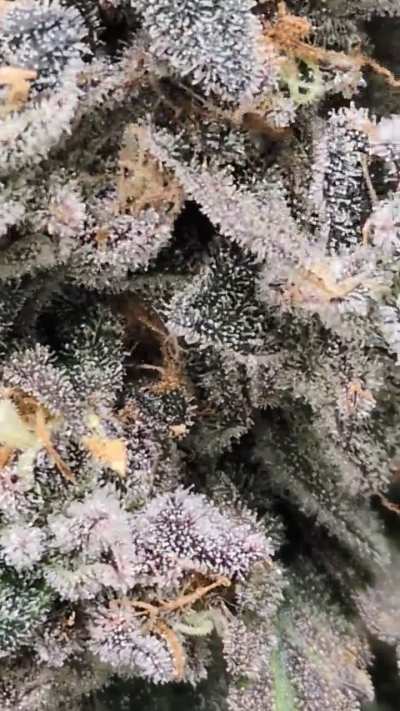 Almost that time ✂️