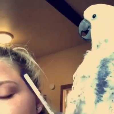 Karen excuse me how do you spell bird