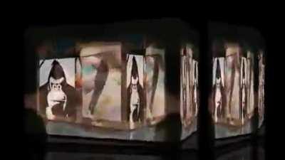 what am i doing with my life