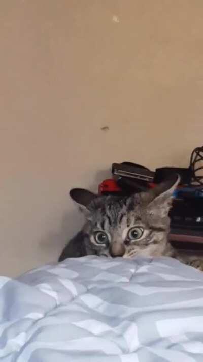 Watch your life flash before your eyes.