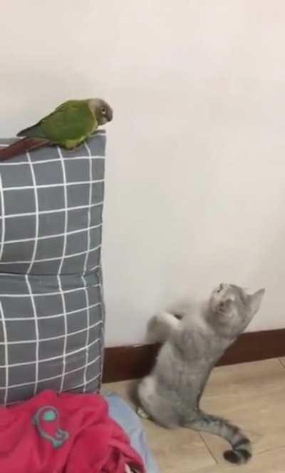 That correction after making a miscatculation