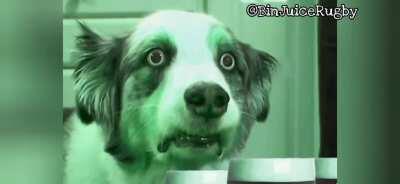 A warning from history for Wales