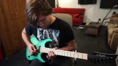 Some friends and I are recording a metal cover of Plantera's theme to celebrate Journey's End!