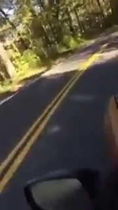 WCGW what did you expect