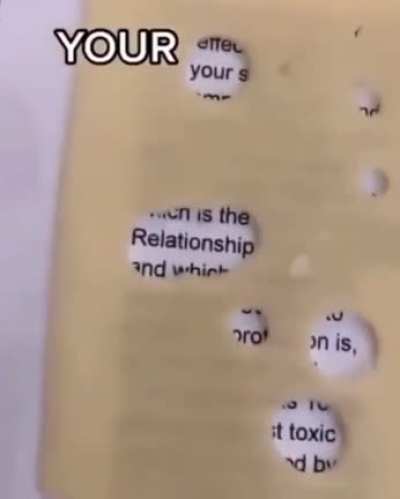 Honest Swiss Cheese