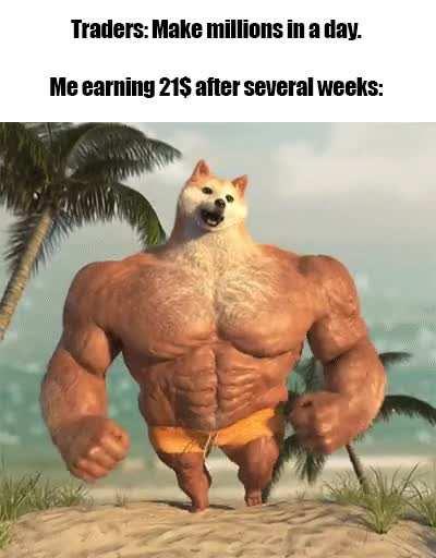 I'm the king of the world!