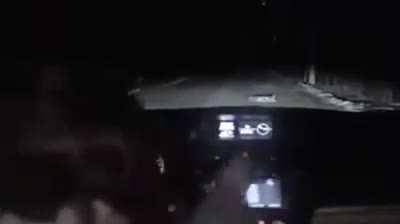 Not this dogs first rodeo