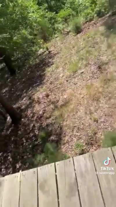 To zipline with the group