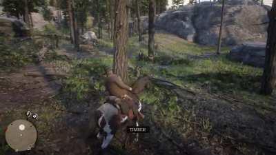 Well that’s great, thanks.