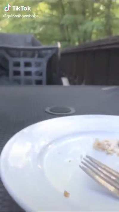 Where’s he taking it?