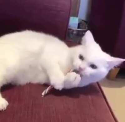 touch tha ......... nope