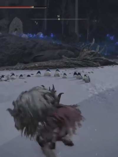 Pinguin 🐧🐧🐧