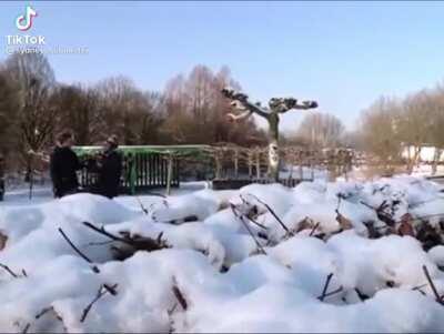 Haha Sydney g word gewoon uitgelachen 😂