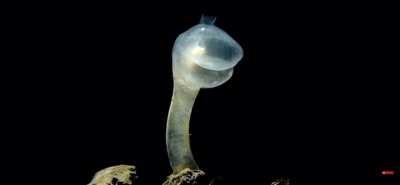 today i learned breathers are real