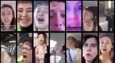 The left shares their vision for the future of the country.