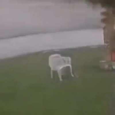 Absolute Unit of a Chair