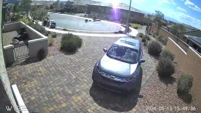 Mini tornado in the front yard