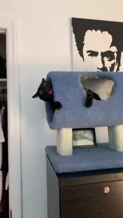 Someone get this crackhead 😂