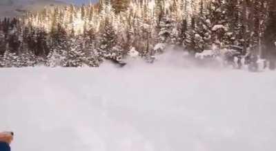The size and speed of a moose in about 3 feet of snow
