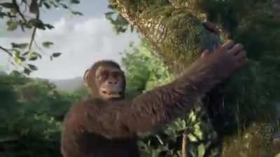 These fucking apes can dance better than me. Now that's something to be depressed about