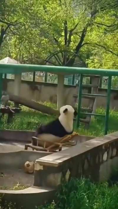 Everybody is kung fu fighting!