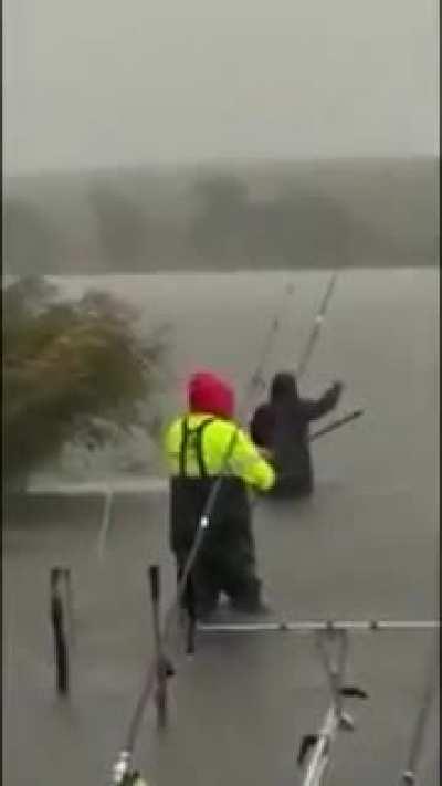 They're a different breed