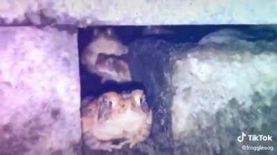 I showed ID but they still didn't let me in 😔